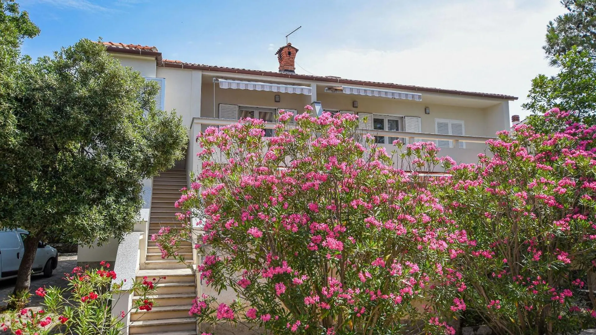 Apartments Neve - 50 M From Beach Mandre Croatia